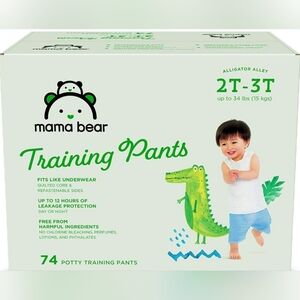Mama Bear Training Pants for Boys – Size 2T–3T, 74 Count – Leak Protection